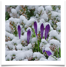 3 - Winter - Chris Beesley